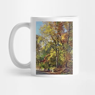 Mountainside NJ - Autumn Stroll Mug